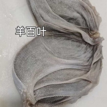 羊百叶