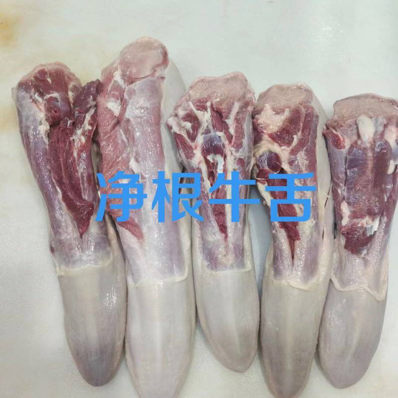 净根牛舌
