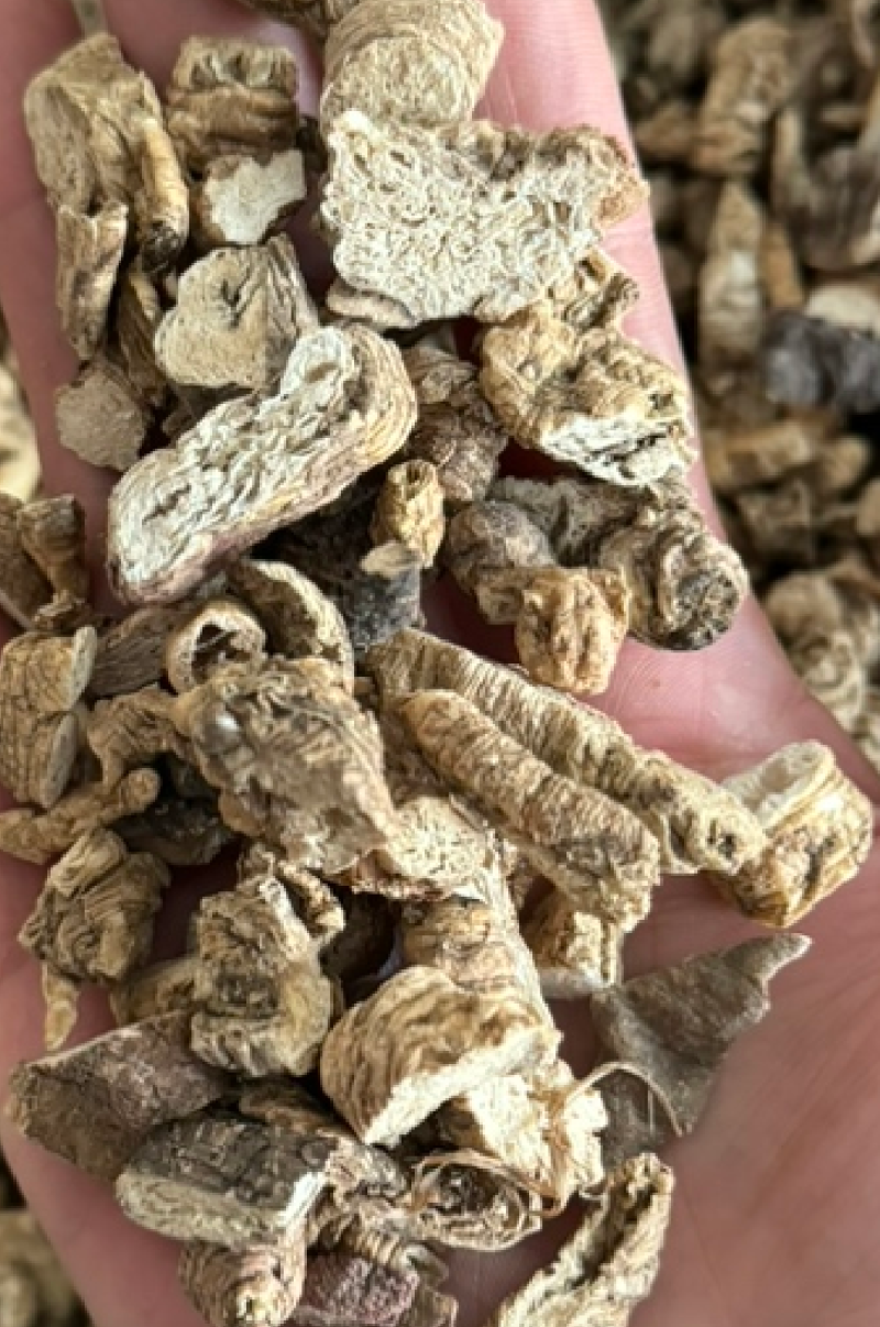 南沙参实物拍摄无美颜无硫原汁原味泡参正品