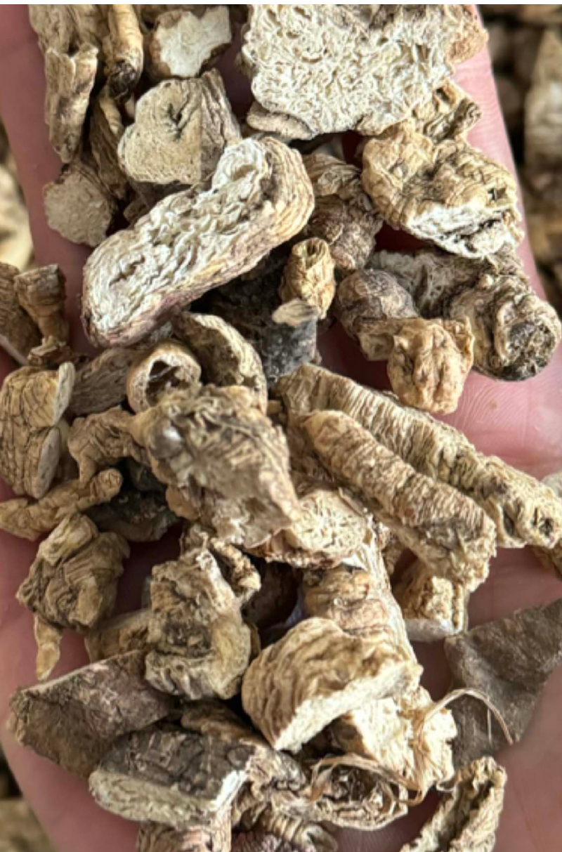 南沙参实物拍摄无美颜无硫原汁原味泡参正品