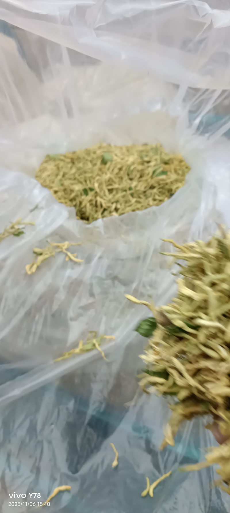 金银花干货