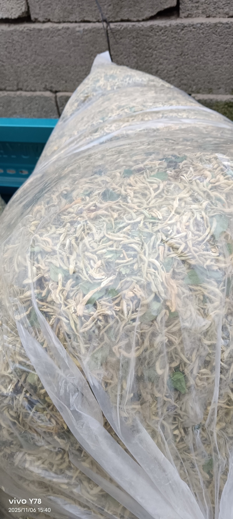 金银花干货