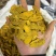 姜黄色姜黄保庆药业批发姜黄发货前过筛非片姜黄