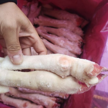 小号羊蹄