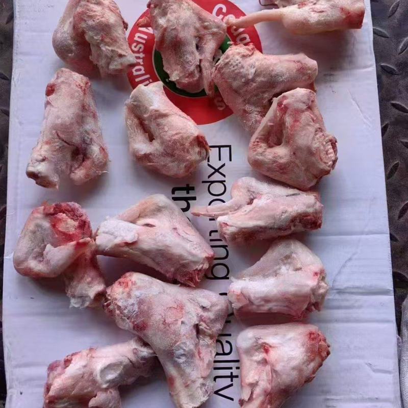 羊拐筋到货