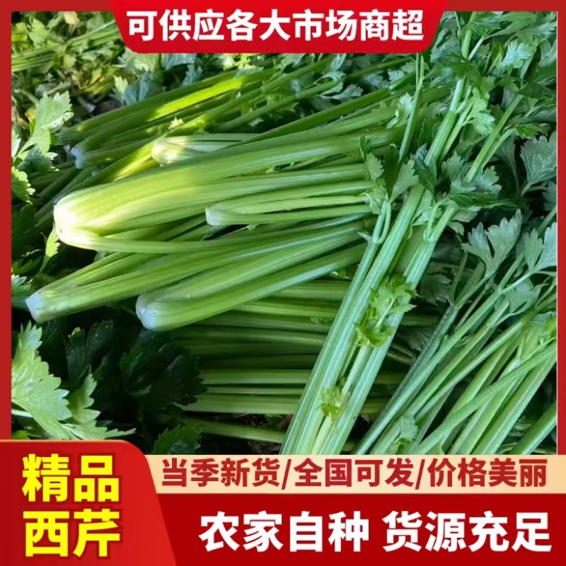 万亩芹菜基地，长期供应小棵中小棵中颗规格齐全支持各种包装