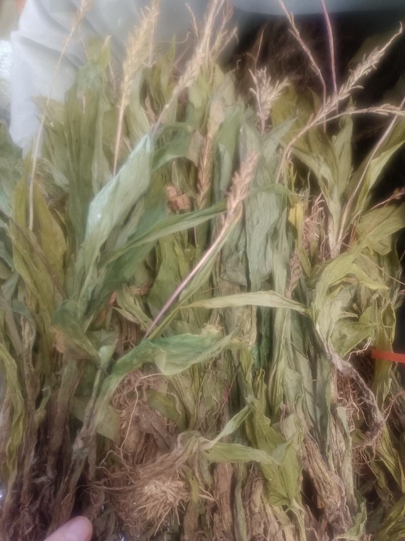 见血清货品均实物拍摄所见即所得需要下单就发货