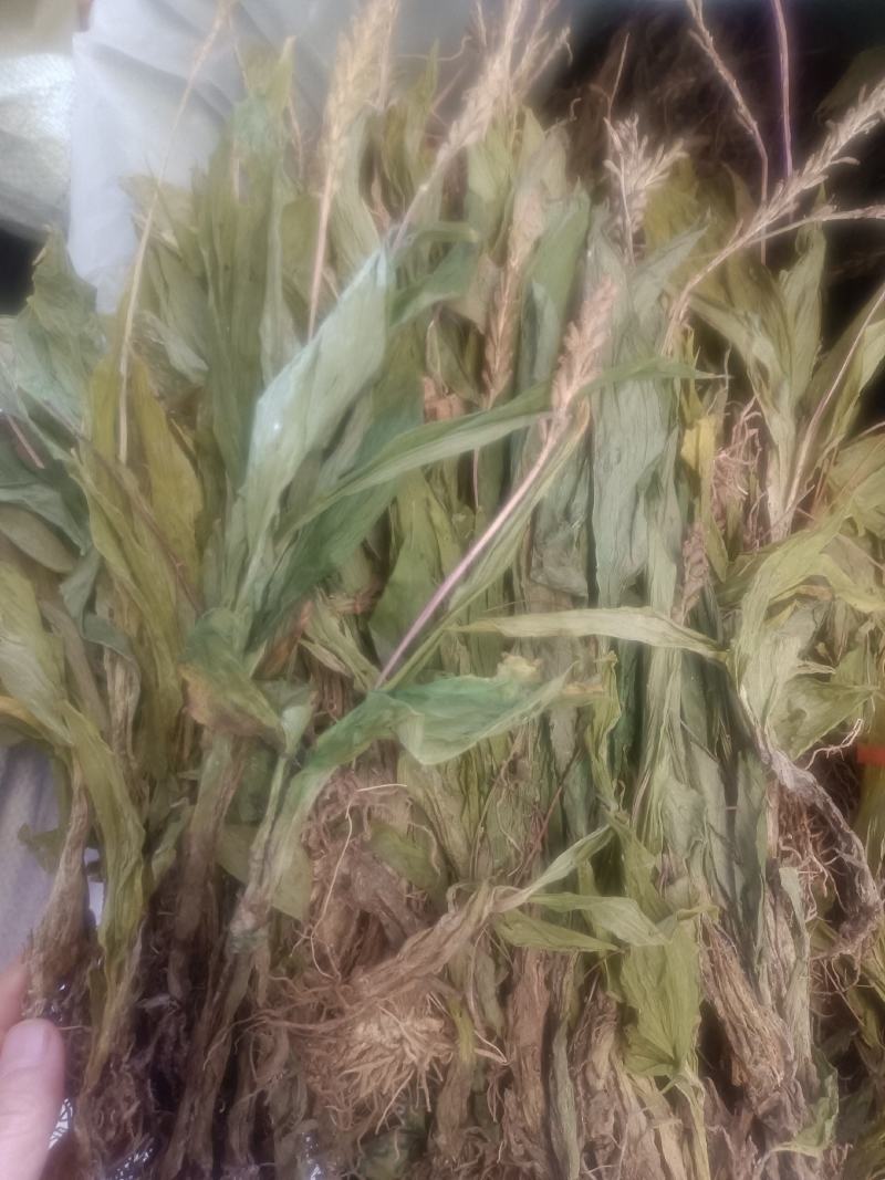 见血清货品均实物拍摄所见即所得需要下单就发货