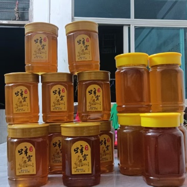 自家养殖蜂蜜