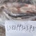 开背巴沙鱼9.5成货