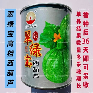 翠绿宝西葫芦种子高档无蔓圆形西葫芦种籽产量高瓜色油亮元宝