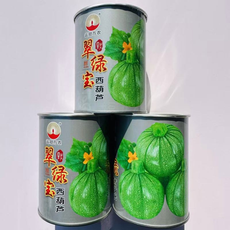 翠绿宝西葫芦种子高档无蔓圆形西葫芦种籽产量高瓜色油亮元宝
