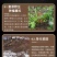 小草坝乌天麻高山自然生农户自产自销一手货源现挖现发品质好