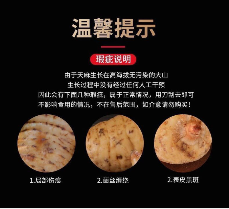 小草坝乌天麻高山自然生农户自产自销一手货源现挖现发品质好