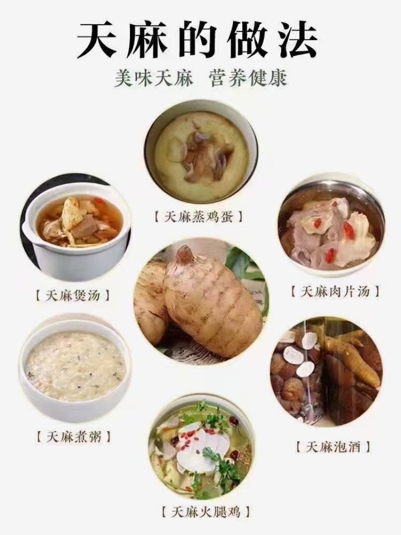 小草坝乌天麻高山自然生农户自产自销一手货源现挖现发品质好