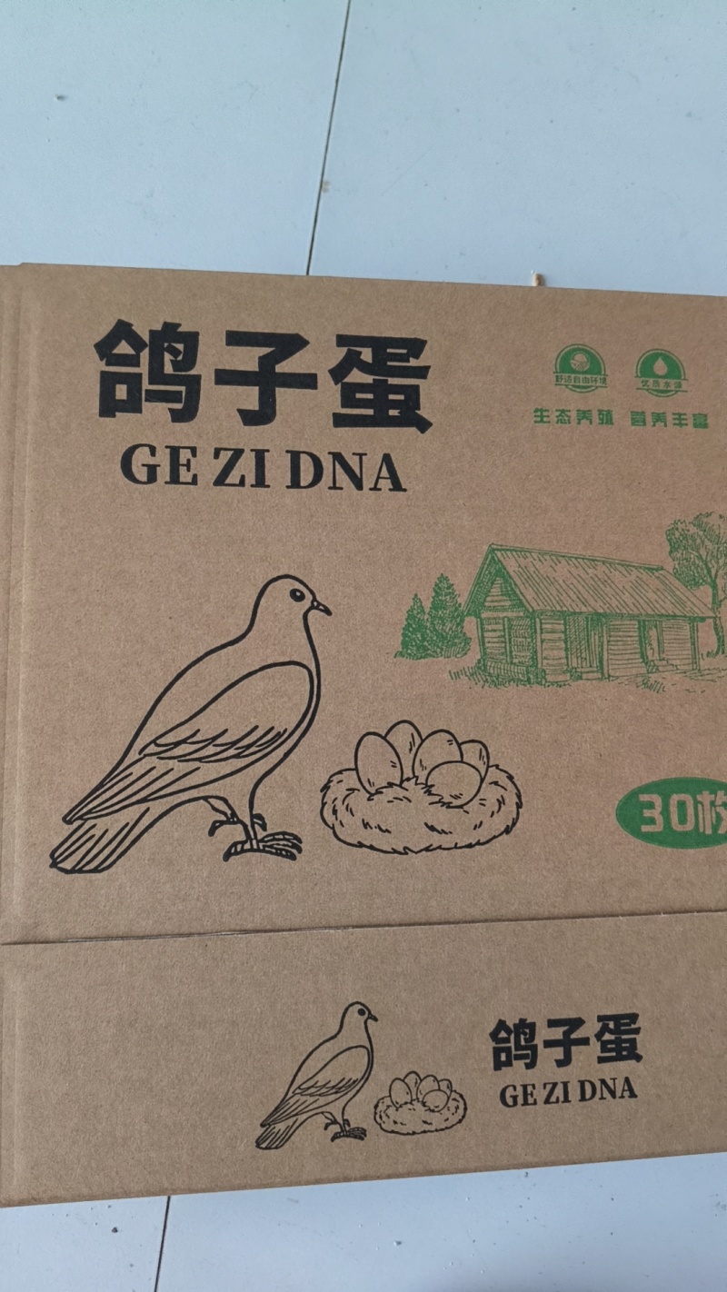 原粮鸽子蛋