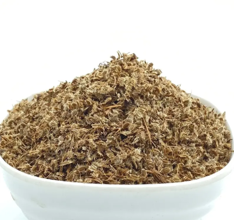 鹤虱中药材店铺鹤虱鹤虱草南鹤虱北鹤虱野萝卜籽