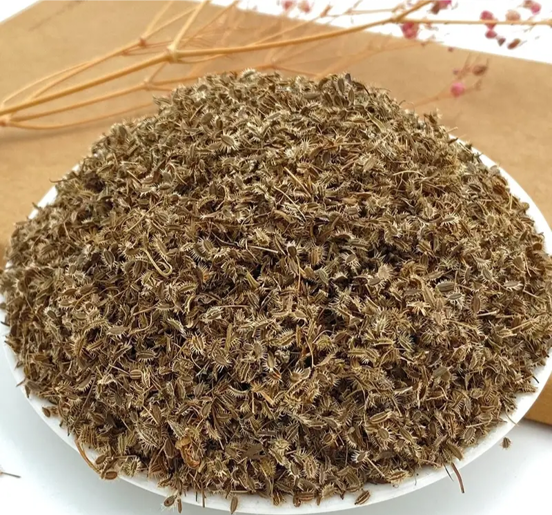 鹤虱中药材店铺鹤虱鹤虱草南鹤虱北鹤虱野萝卜籽
