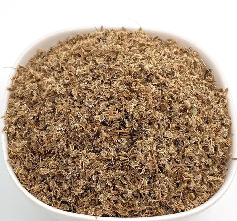 鹤虱中药材店铺鹤虱鹤虱草南鹤虱北鹤虱野萝卜籽
