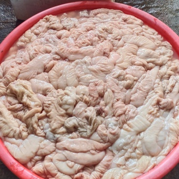 猪大肠批发每天都有新鲜货源充足带油去油都有货