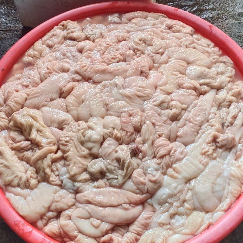 猪大肠批发每天都有新鲜货源充足带油去油都有货