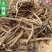 大蓟根中药材新鲜大蓟根干货野芥菜根刺蓟新货