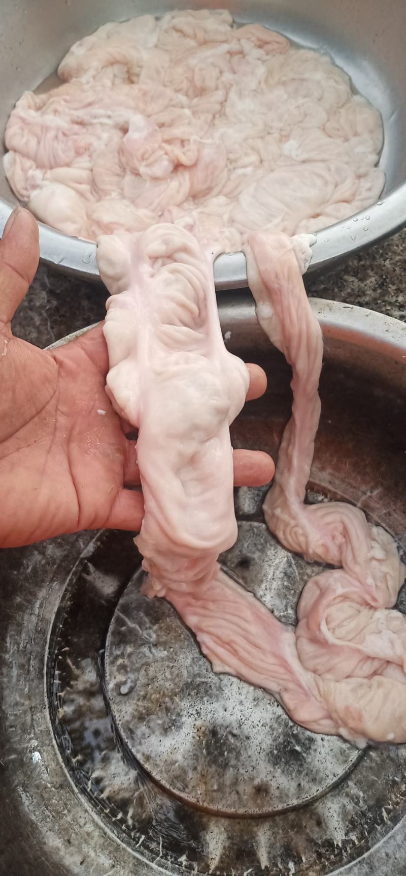 猪大肠批发每天都有新鲜货源充足带油去油都有货