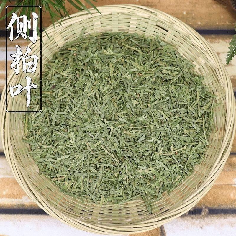 侧柏叶中药材冷背侧柏叶精选无硫干净无杂中药材