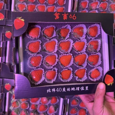 正宗丹东久久草莓