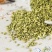 槐米中药材冷背正品中药材槐花生槐花国槐花