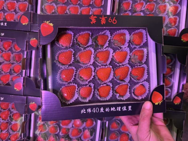 正宗丹东久久草莓