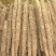 精品宁夏白玉山药沙地山药产地直发保质保量代发全国