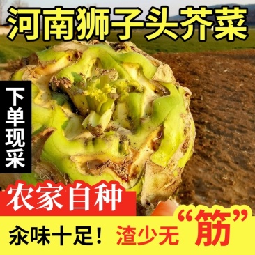 登封狮子头芥菜地理标志产品