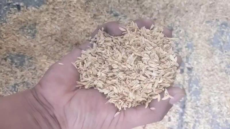 稻壳压缩稻壳品质保障厂家直发欢迎咨询