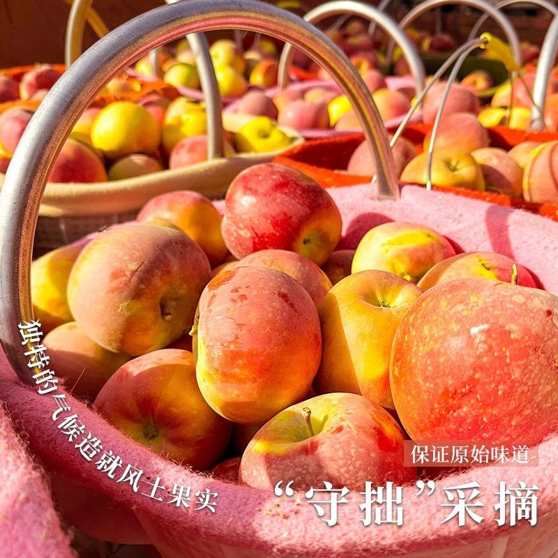 新疆阿克苏冰糖心红富士苹果，脆甜多汁，品质保障