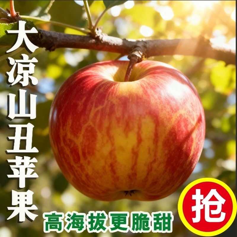 四川凉山冰糖心丑苹果/产地直发质量保证欢迎采购