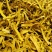 雅安川黄柏选货丝