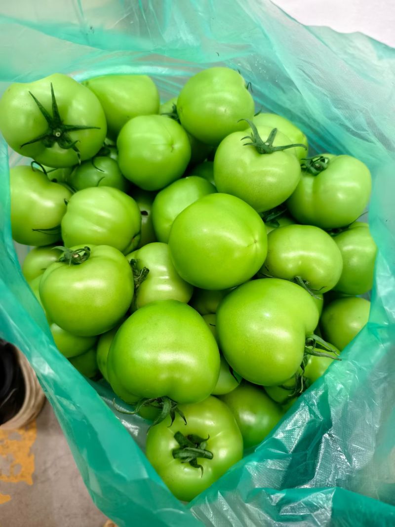 青番茄，绿柿子，绿宝石