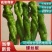 山东螺丝椒产区，暖棚头茬大量上市，货量充足精品市场电商