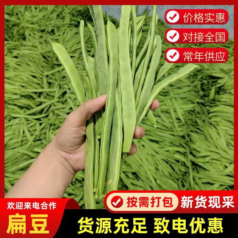 山东精品扁豆，电商货，市场货芸豆大量供应质量三包，刀豆