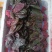 紫菠菜，红菠菜，甜菜