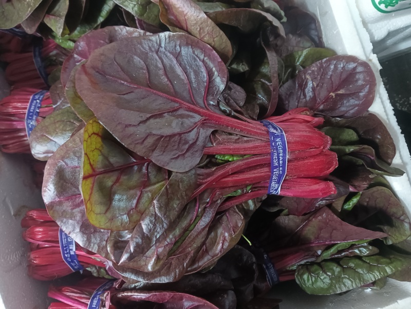 紫菠菜，红菠菜，甜菜