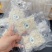 企标溯源囊丝碎100克¥398元、***燕盏挑毛，一大包