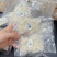 企标溯源囊丝碎100克¥398元、***燕盏挑毛，一大包