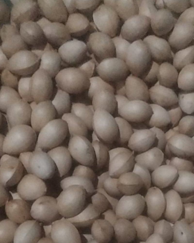 白果