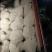东革阿里