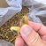 海虹干淡菜干贻贝干贝类干野生淡菜干非特贻贝干500g无沙