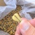 海虹干淡菜干贻贝干贝类干野生淡菜干非特贻贝干500g无沙