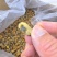 海虹干淡菜干贻贝干贝类干野生淡菜干非特贻贝干500g无沙