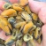 海虹干淡菜干贻贝干贝类干野生淡菜干非特贻贝干500g无沙